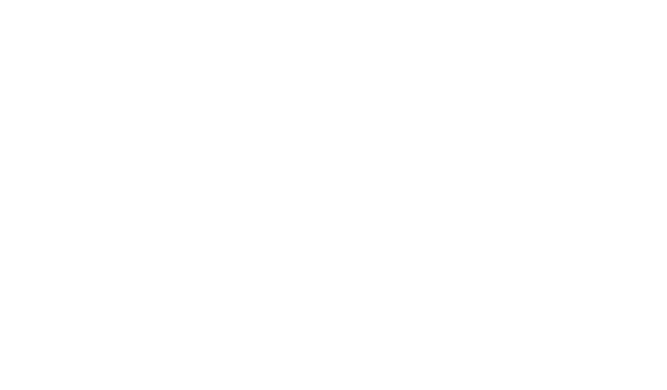 White 35. Int. Filmfest Emden-Norderney – Official Selection – 2025
